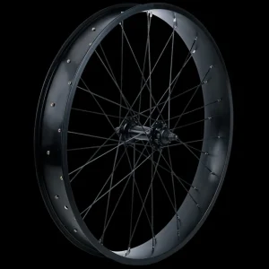 Trek Bikes Kiekot*Electra Lux Fat 26" Wheel