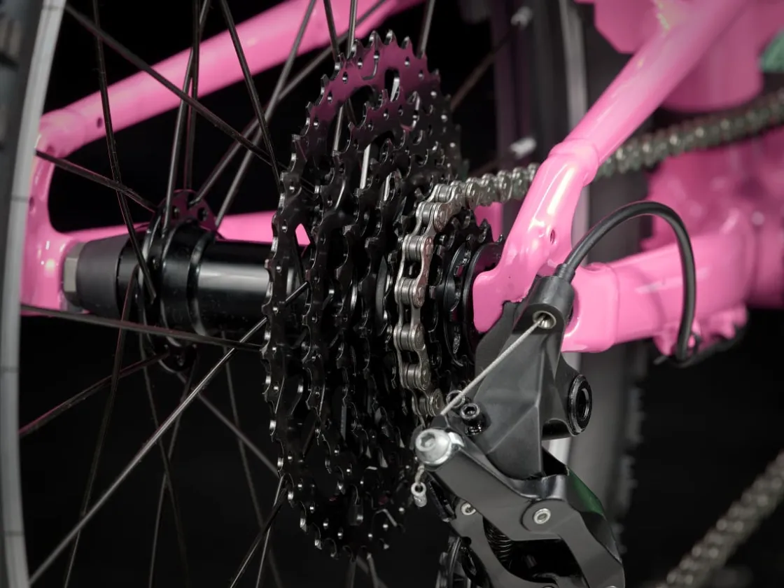 Trek Bikes Lastenpyörät – Tytöt | Lastenpyörät – Pojat*Wahoo 20 Path